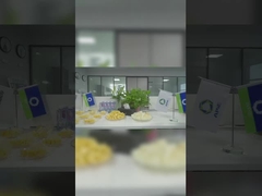 Soilmec Exclusive Agency for Chinese Territory